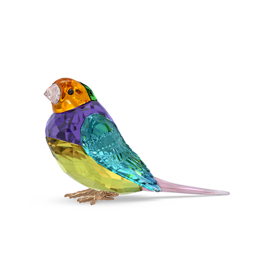 Swarovski Idyllia SCS Gouldian Finch, Small