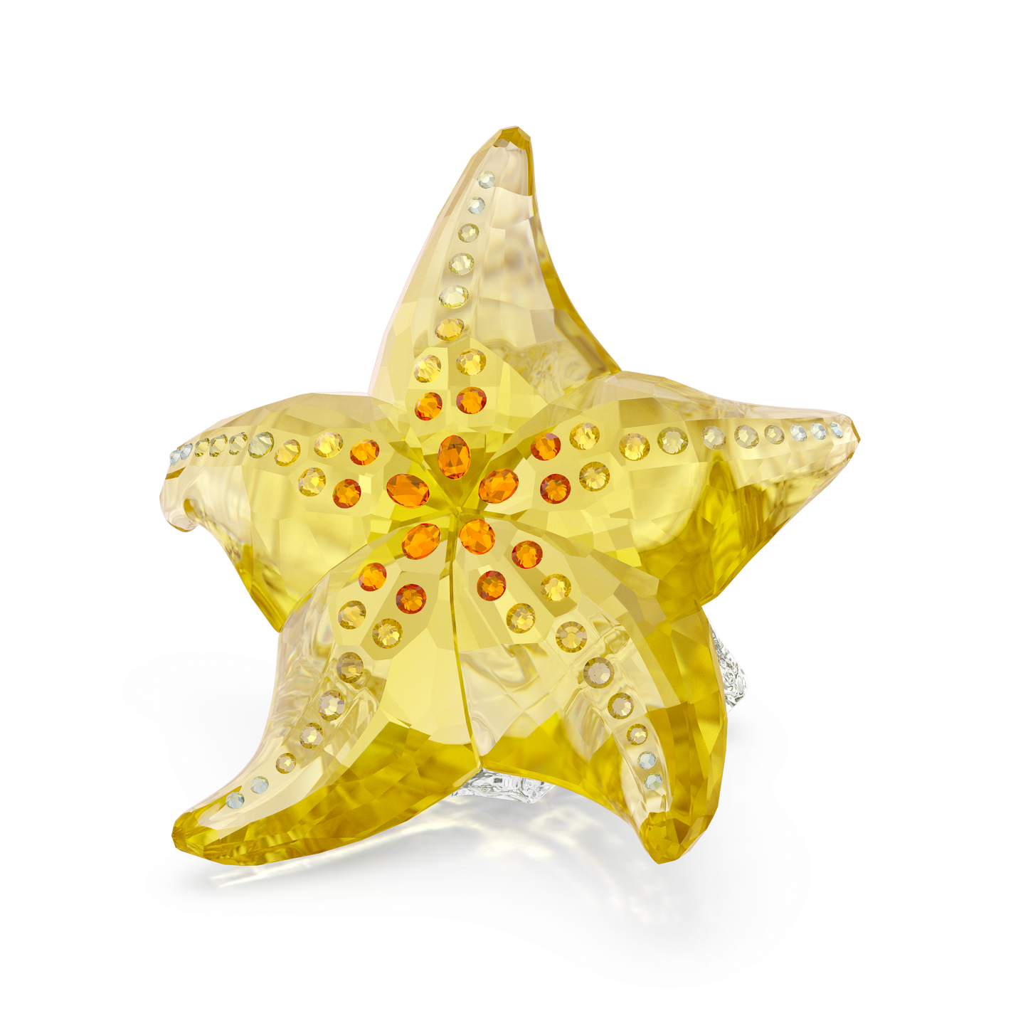 Idyllia SCS Starfish 5690901