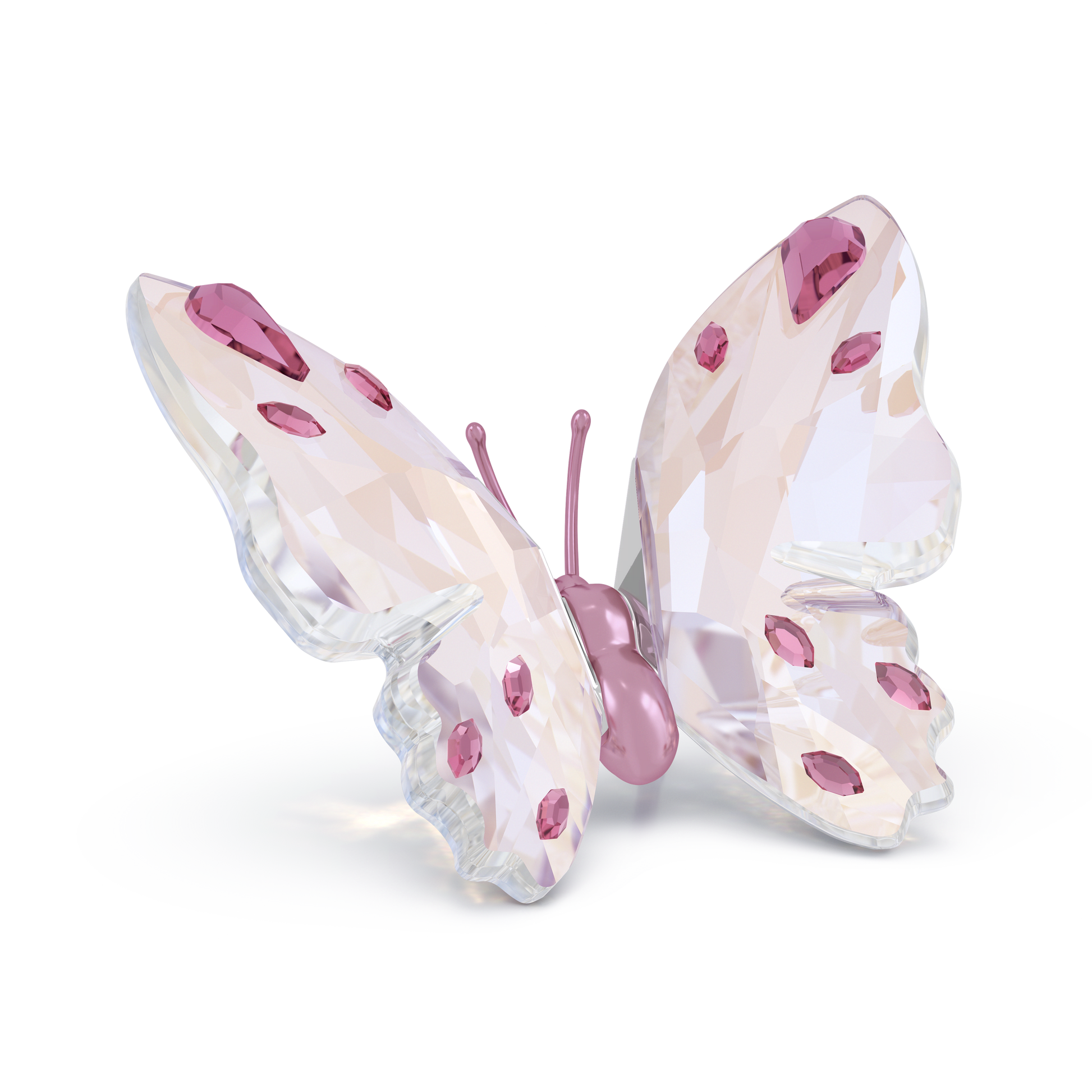 Idyllia Butterfly, Small 5691959