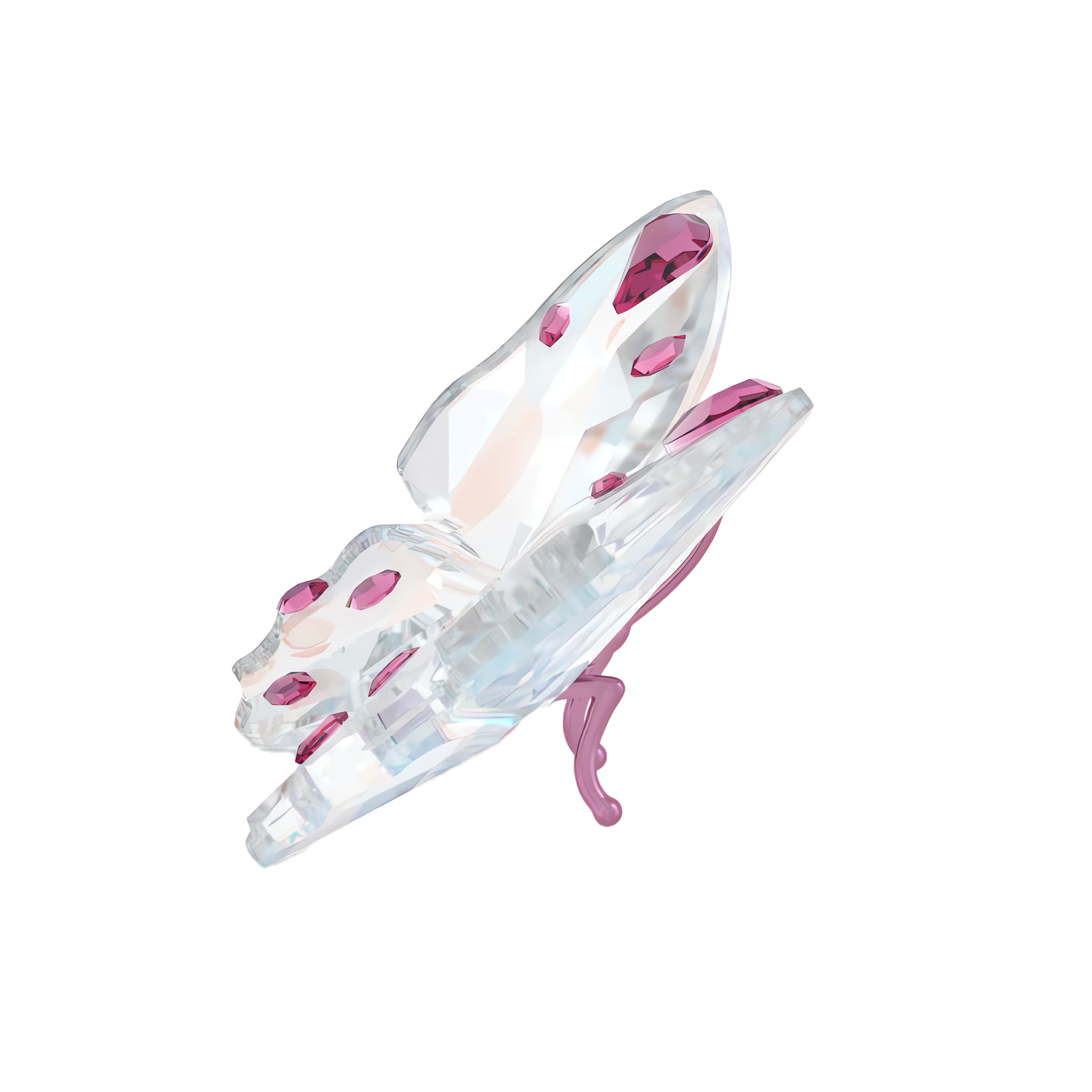 Idyllia Butterfly, Small 5691959