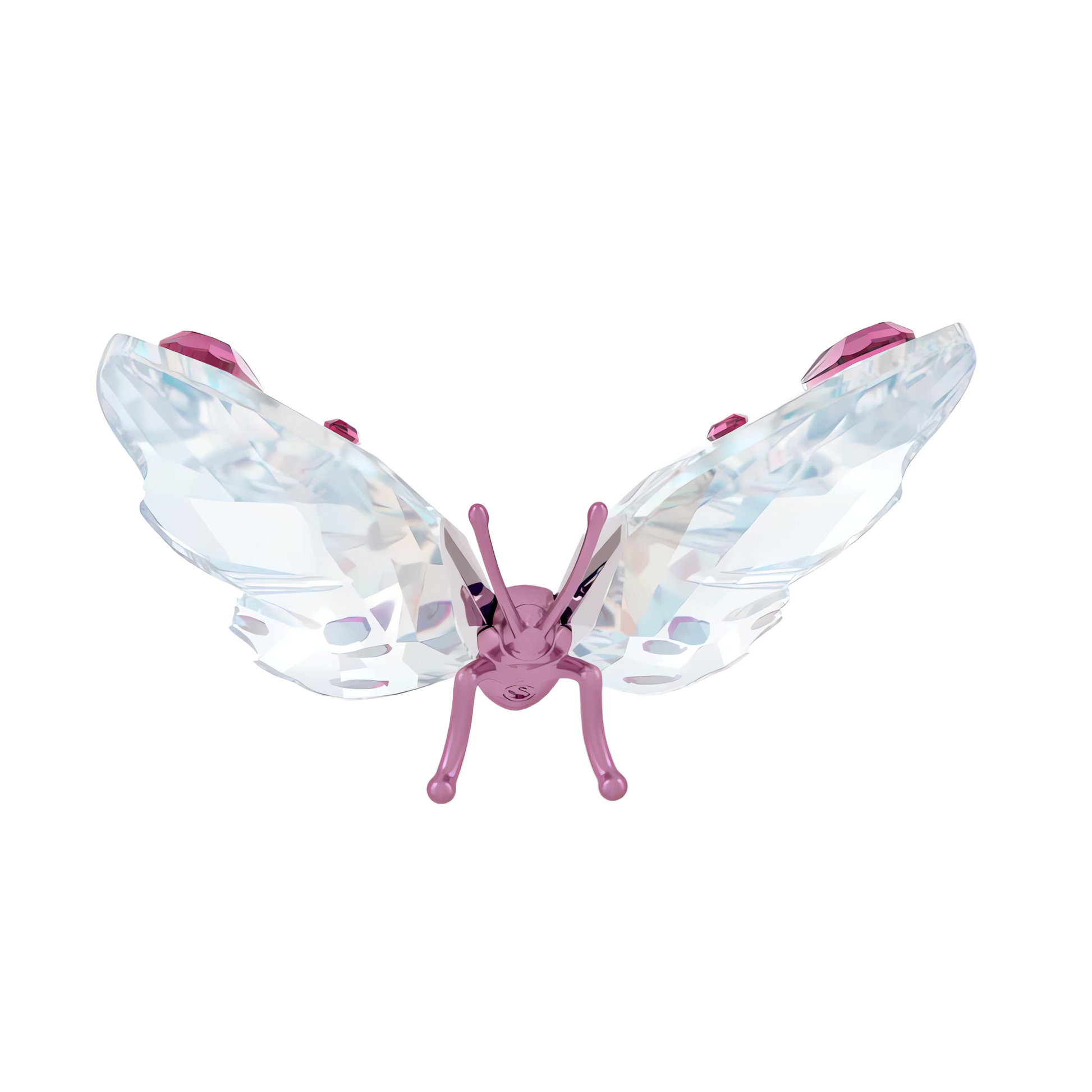 Idyllia Butterfly, Small 5691959