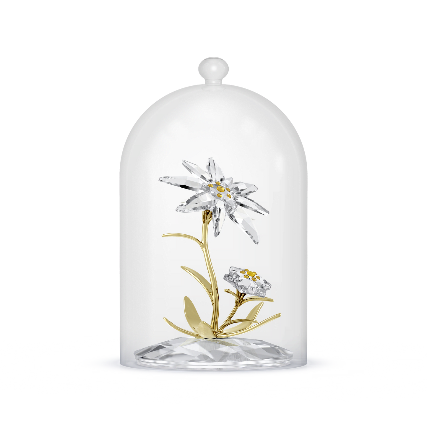 Florere 130th Anniversary Bell Jar 5701376