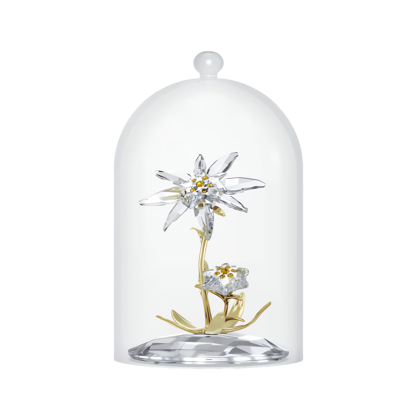 Florere 130th Anniversary Bell Jar 5701376