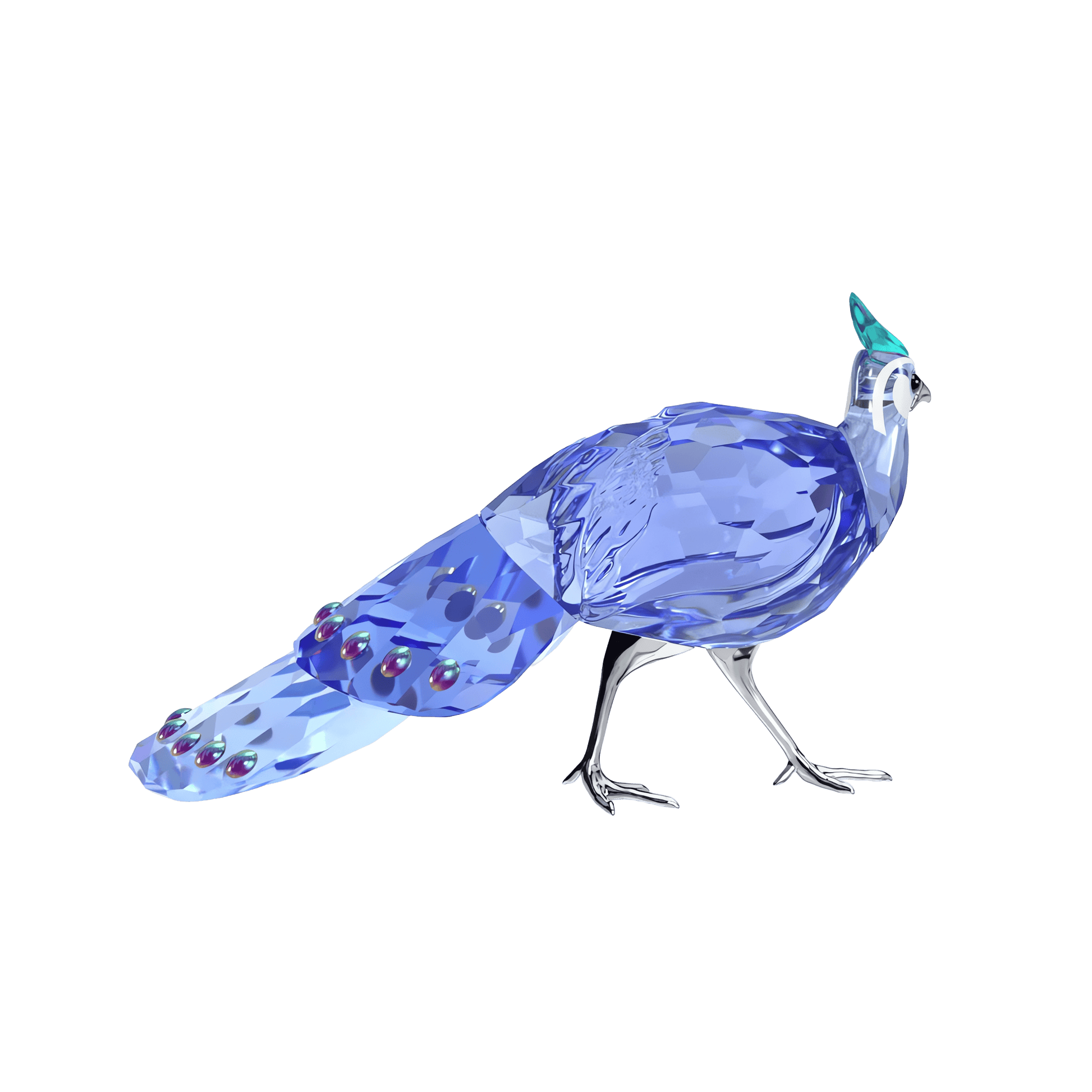 Idyllia SCS Palawan Peacock-Pheasant, SIGNED 5719128