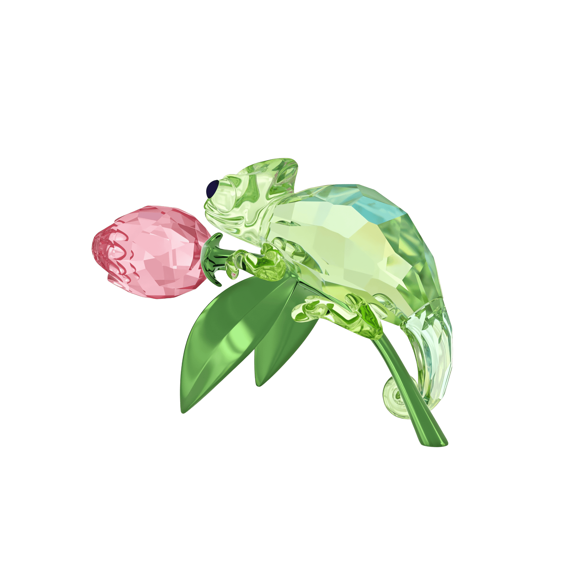 Idyllia Chameleon and Tulip 5719811