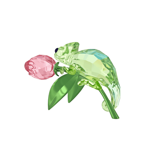 Idyllia Chameleon and Tulip 5719811