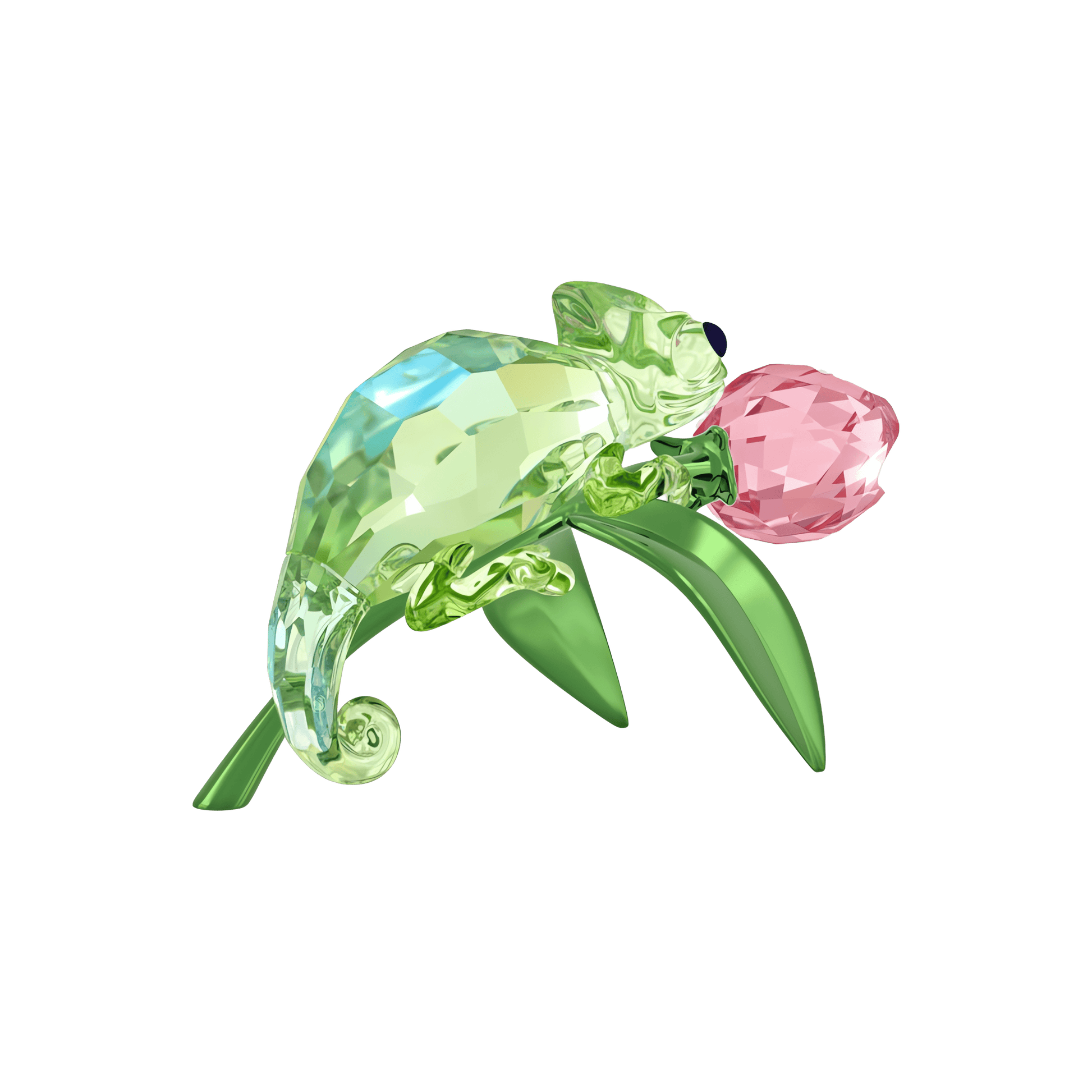Idyllia Chameleon and Tulip 5719811