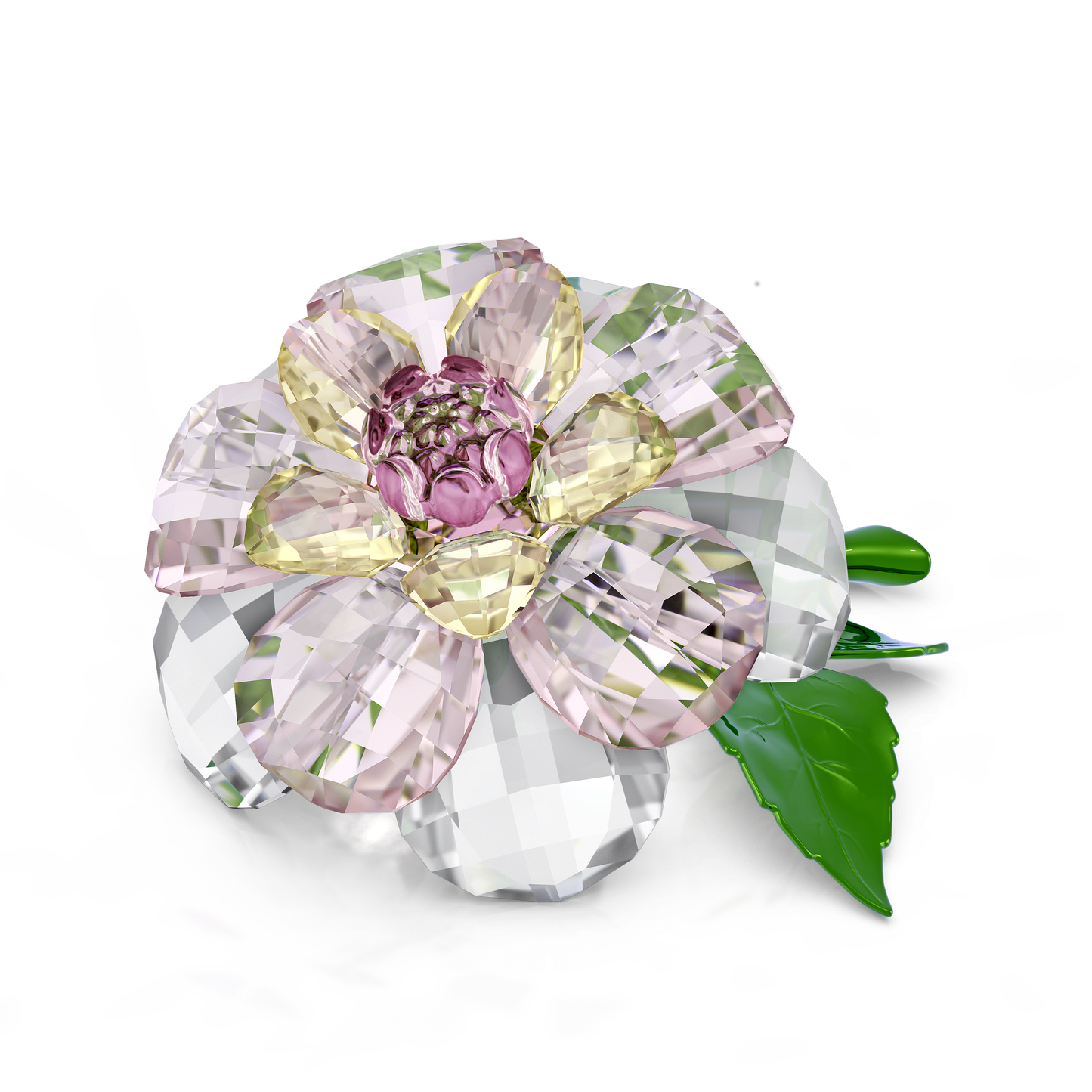 Florere Camellia 5721538