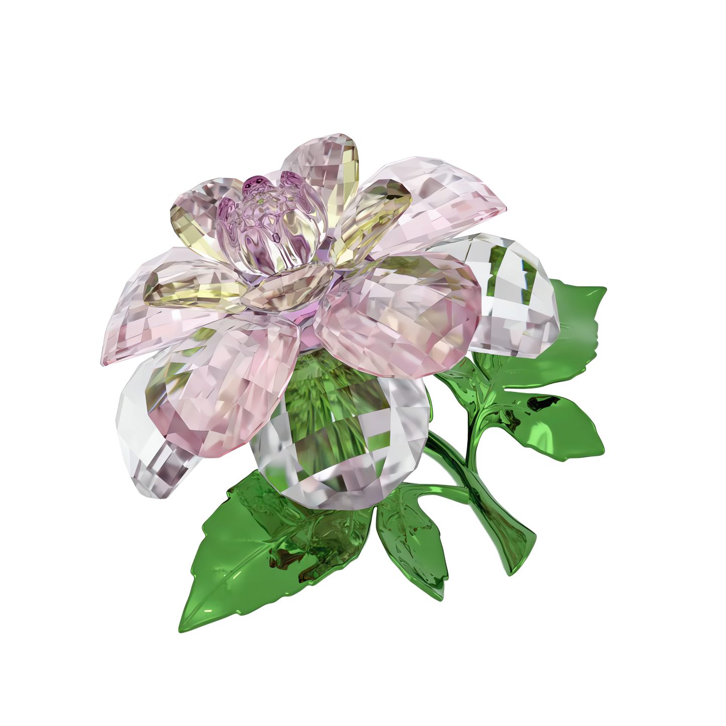Florere Camellia 5721538
