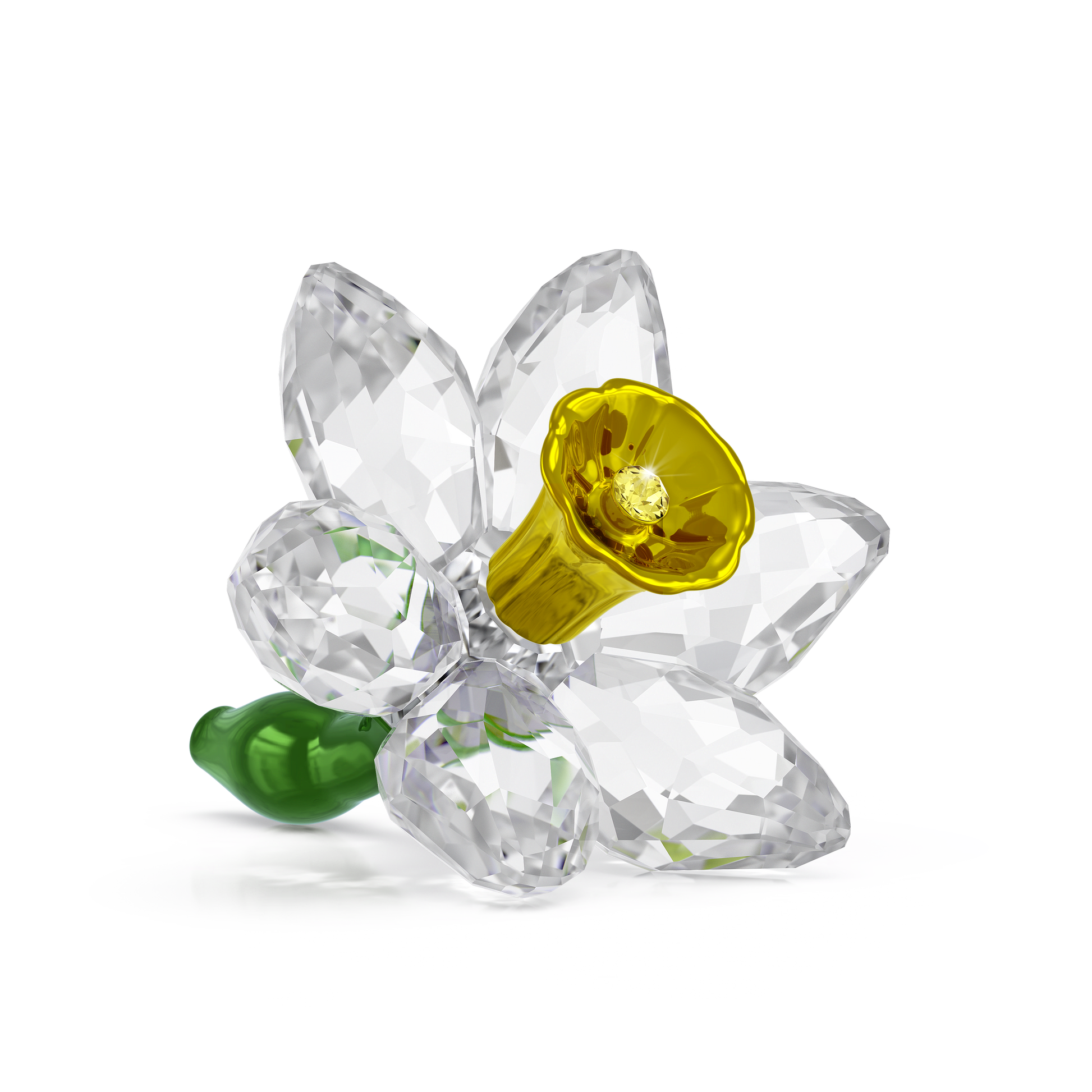 Florere Daffodil 5721540