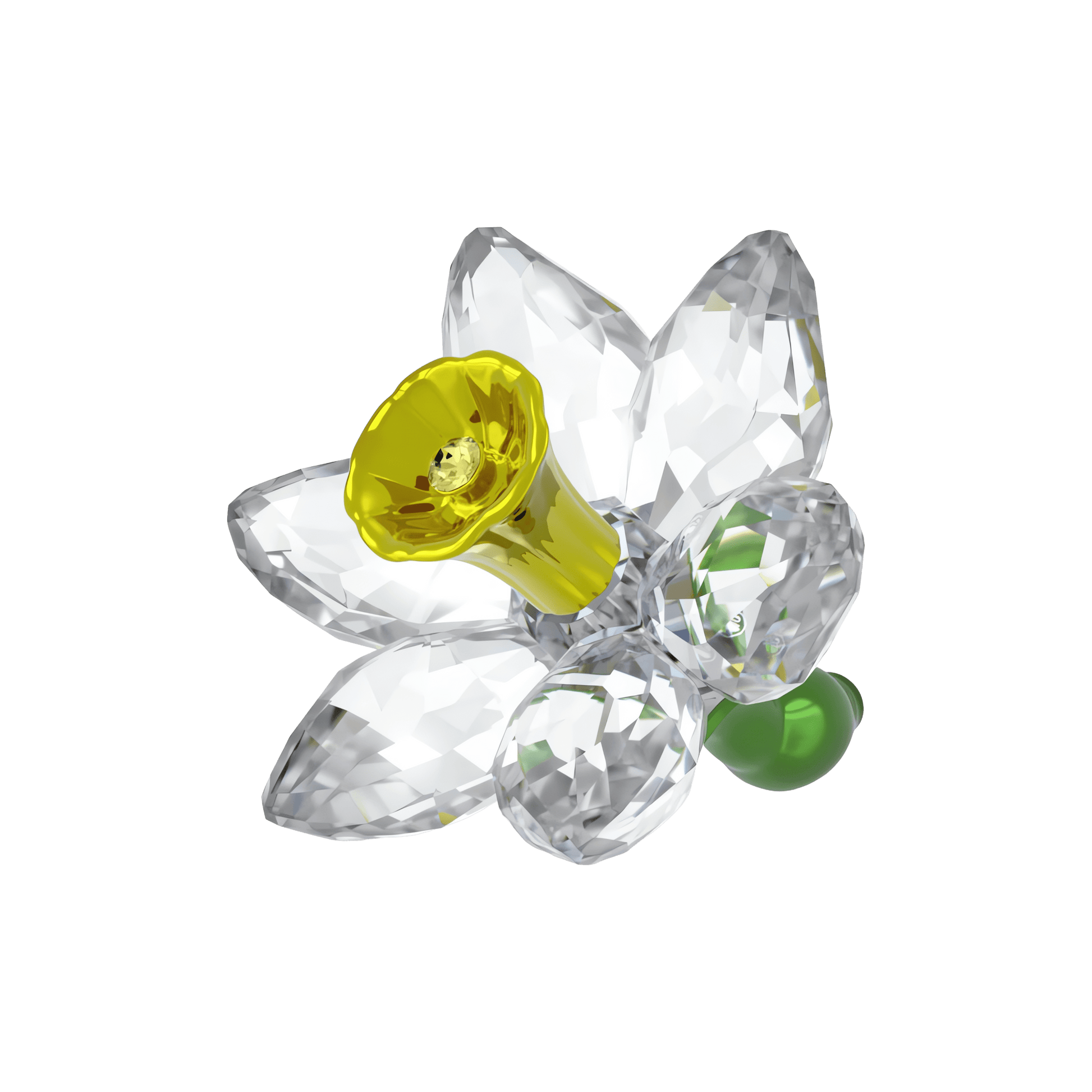 Florere Daffodil 5721540
