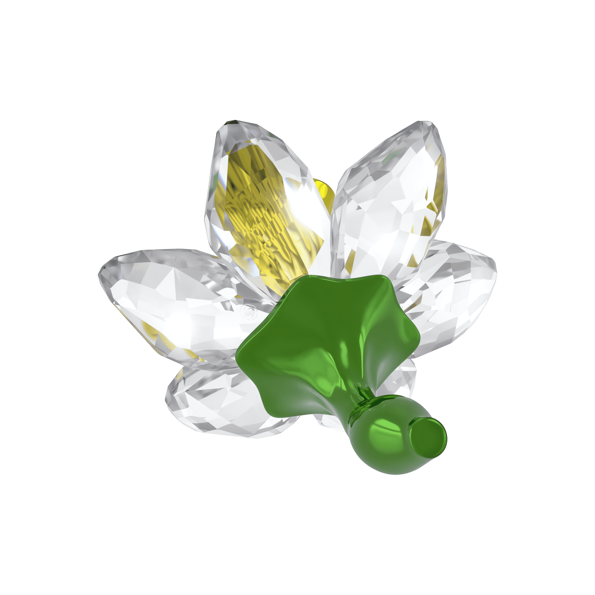 Florere Daffodil 5721540
