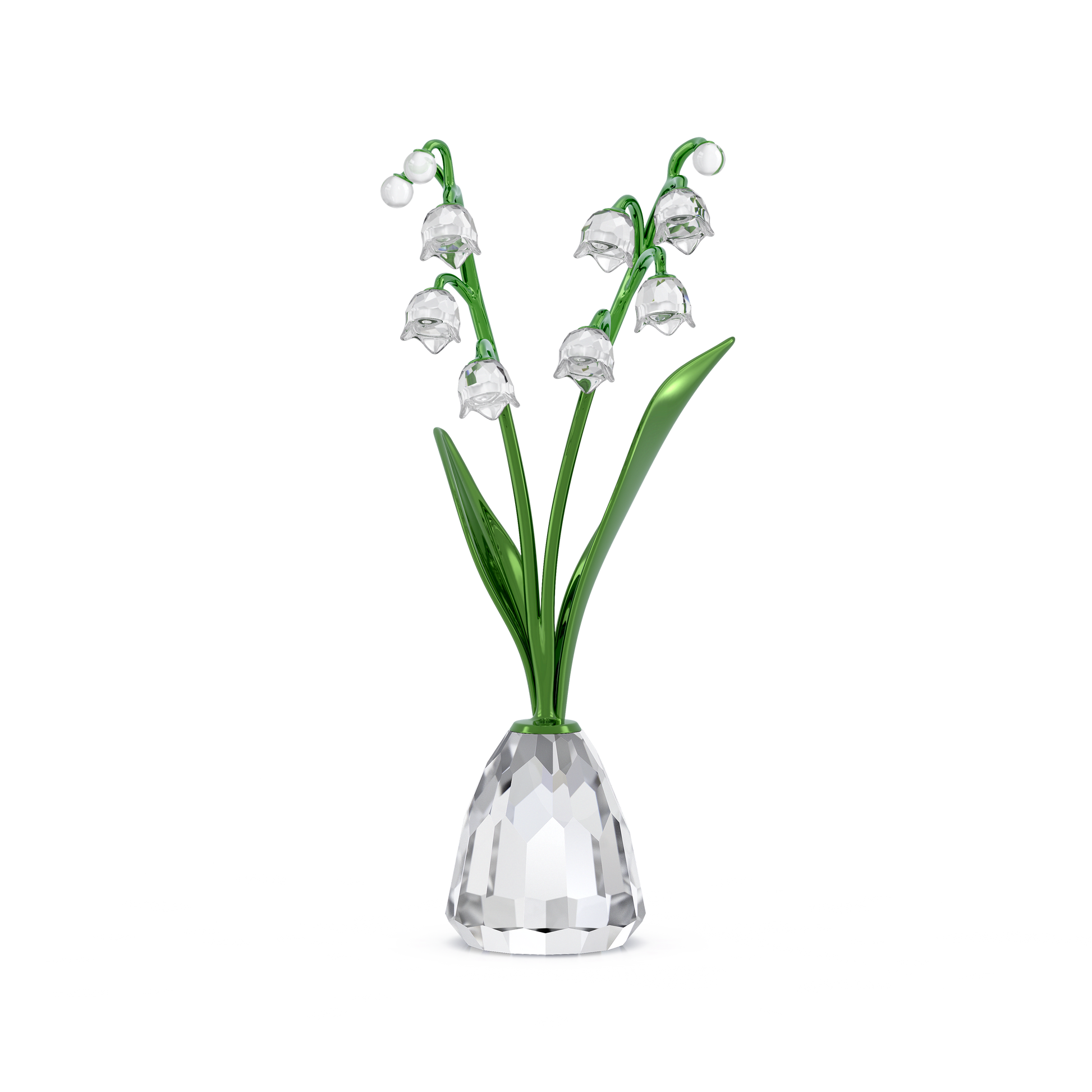 Florere Lily of the Valley 5721541