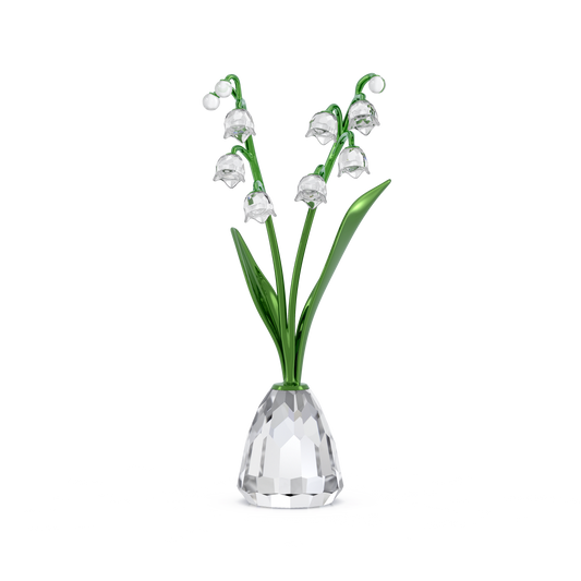 Florere Lily of the Valley 5721541