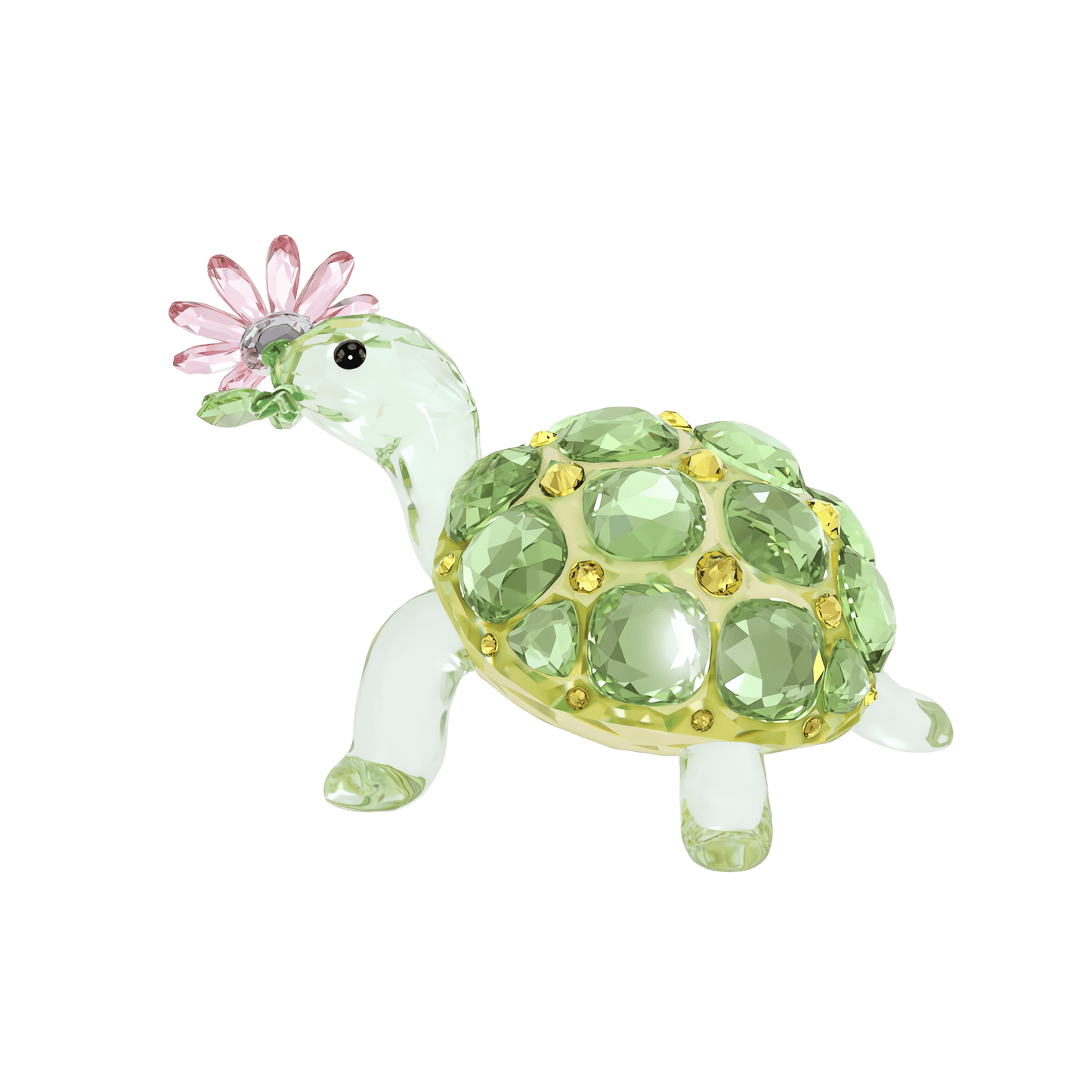 Idyllia Tortoise and Daisy 5721542