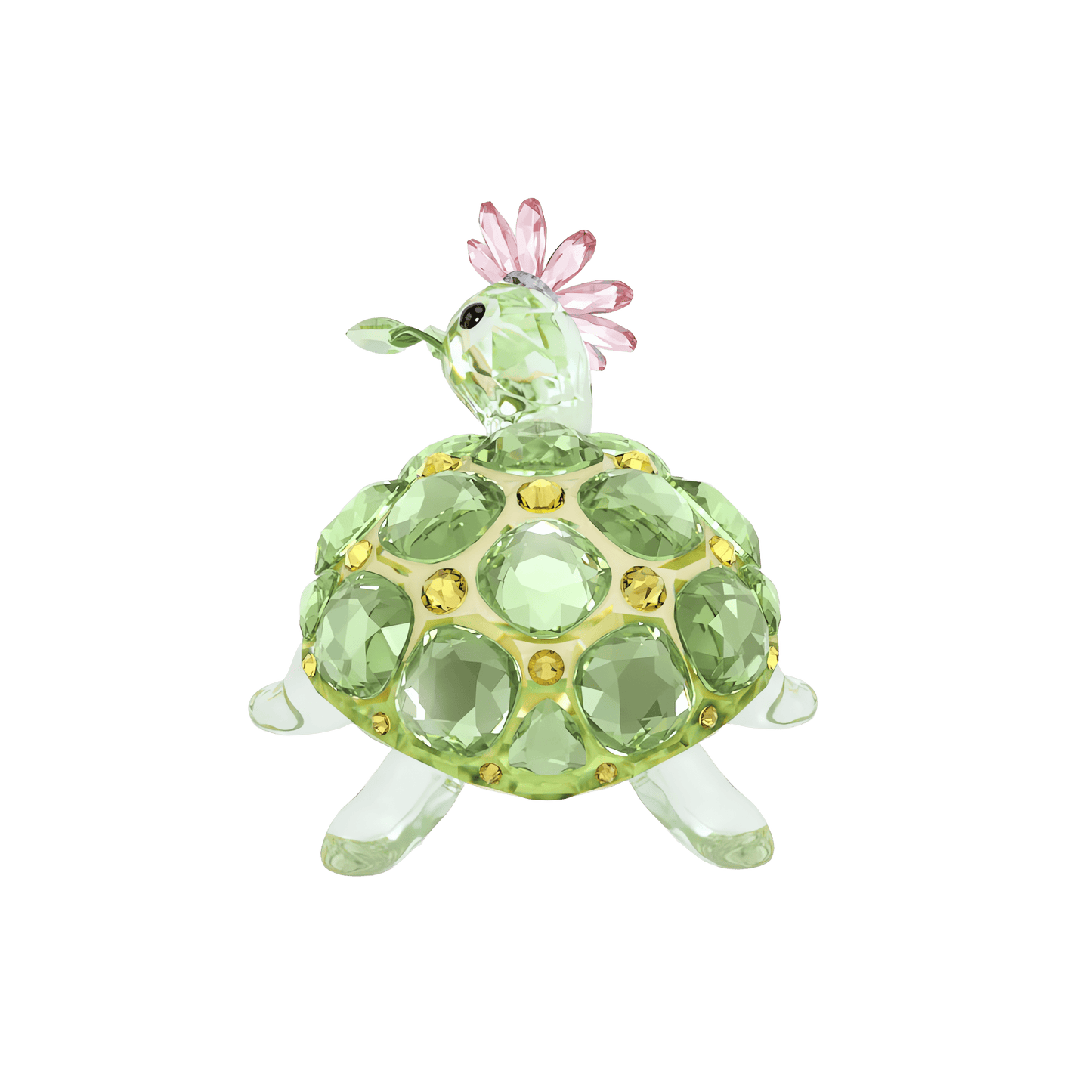 Idyllia Tortoise and Daisy 5721542
