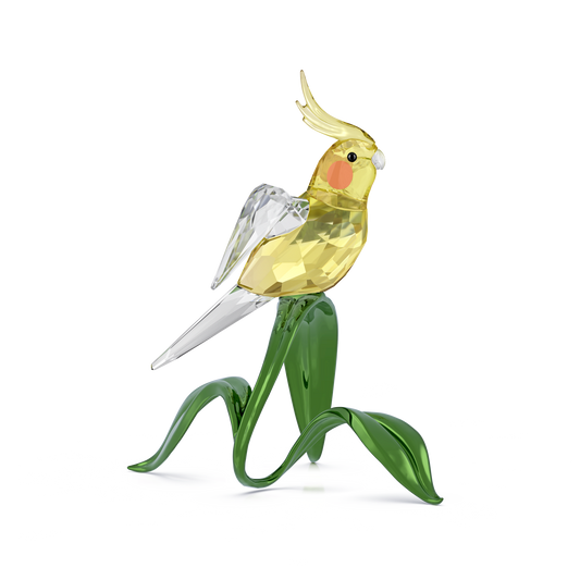 Idyllia Cockatiel 5721544