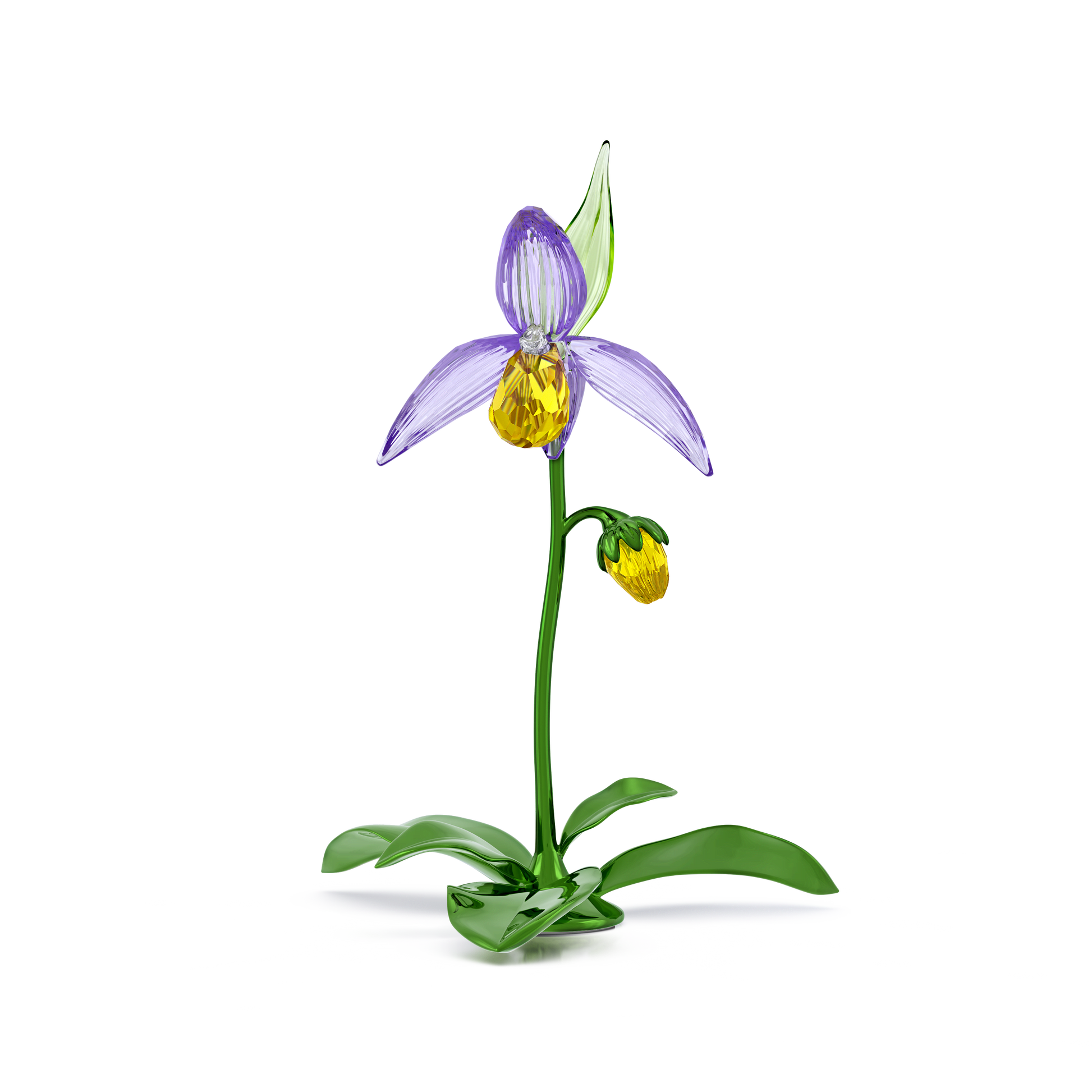Florere Lady Slipper Orchid 5721548