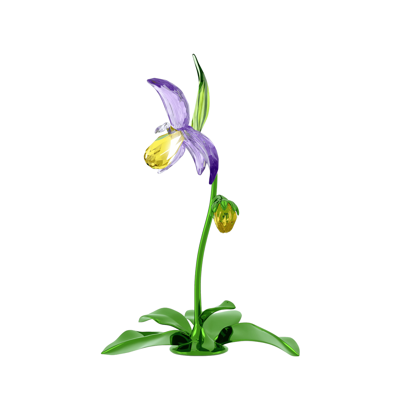 Florere Lady Slipper Orchid 5721548