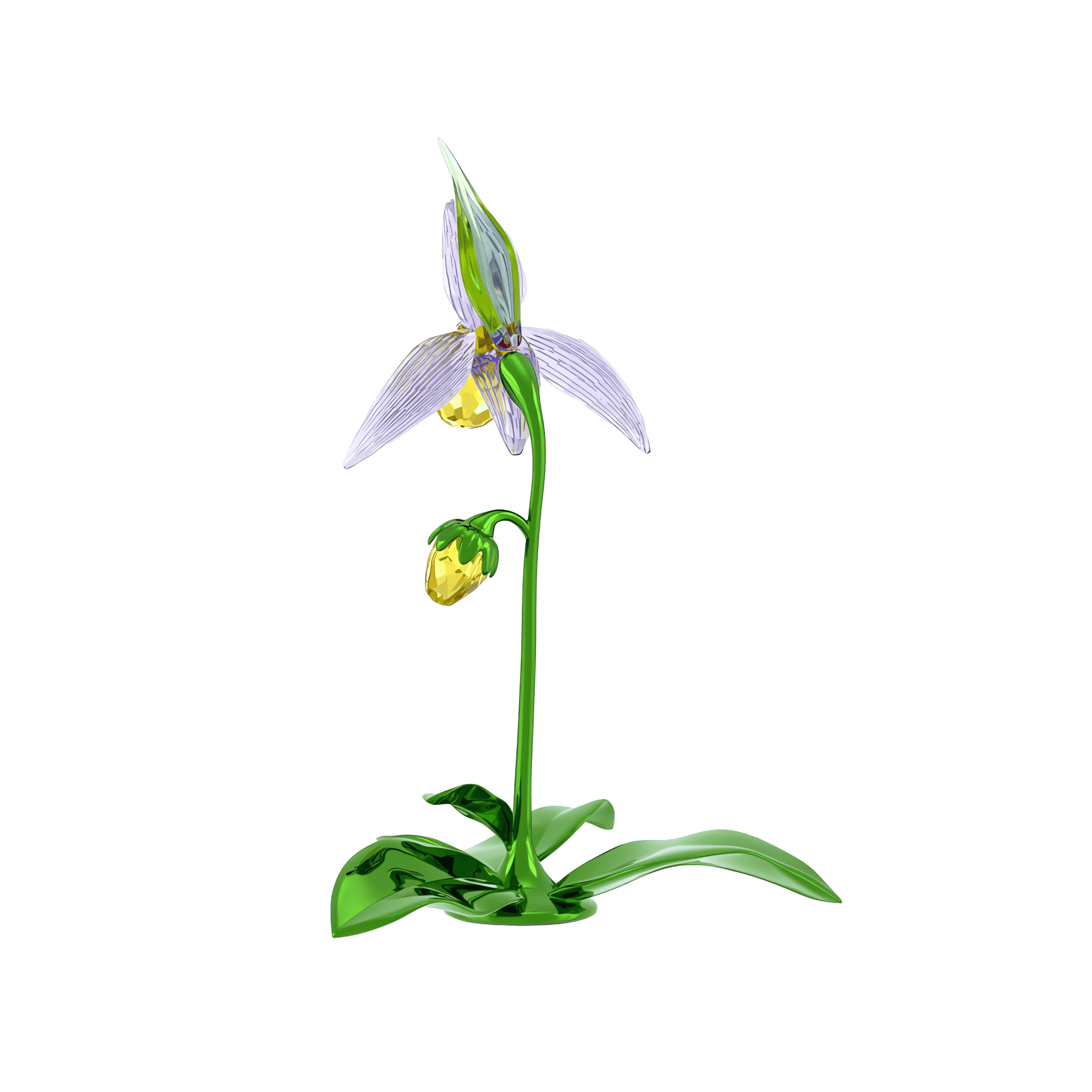 Florere Lady Slipper Orchid 5721548