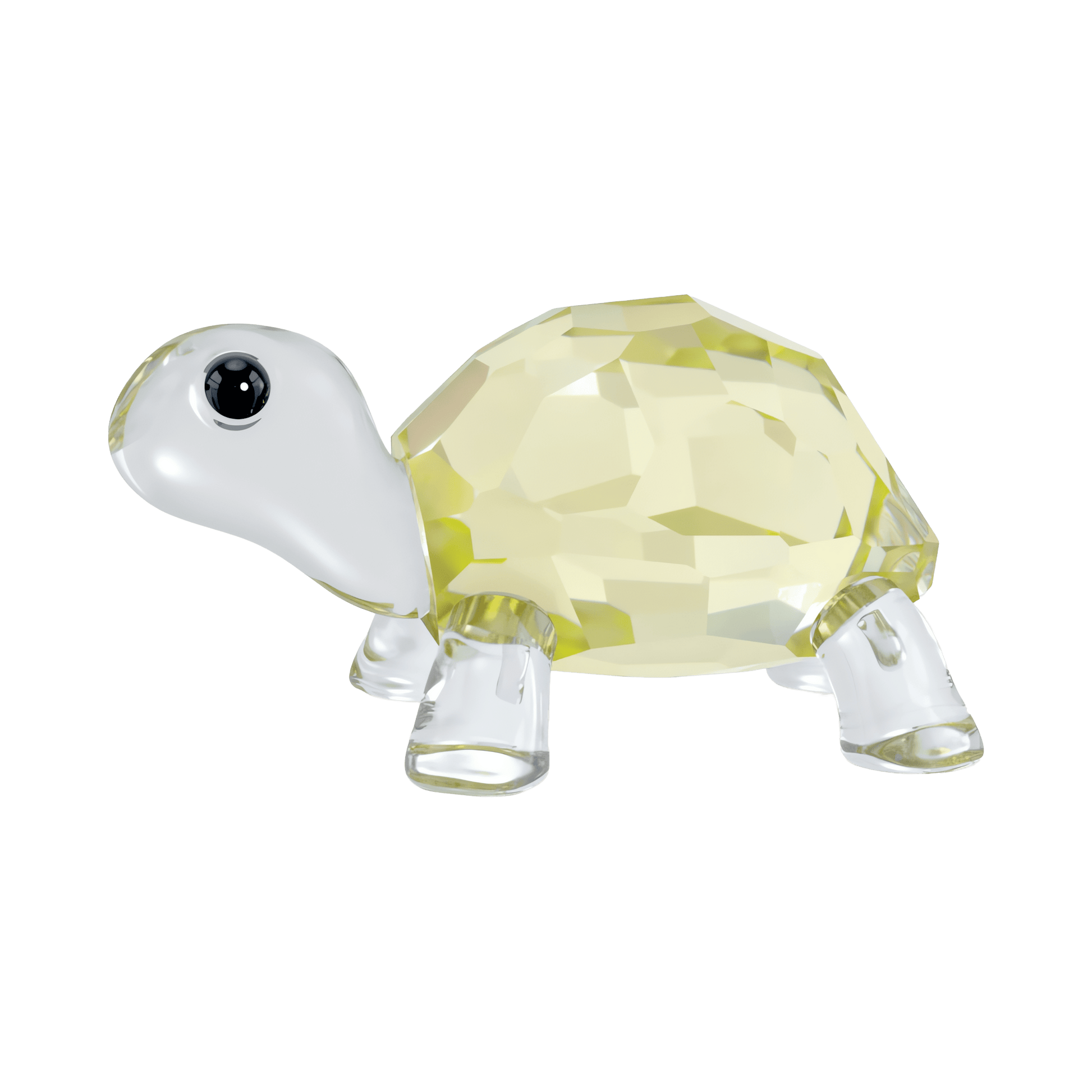 Idyllia Baby Tortoise 5721550