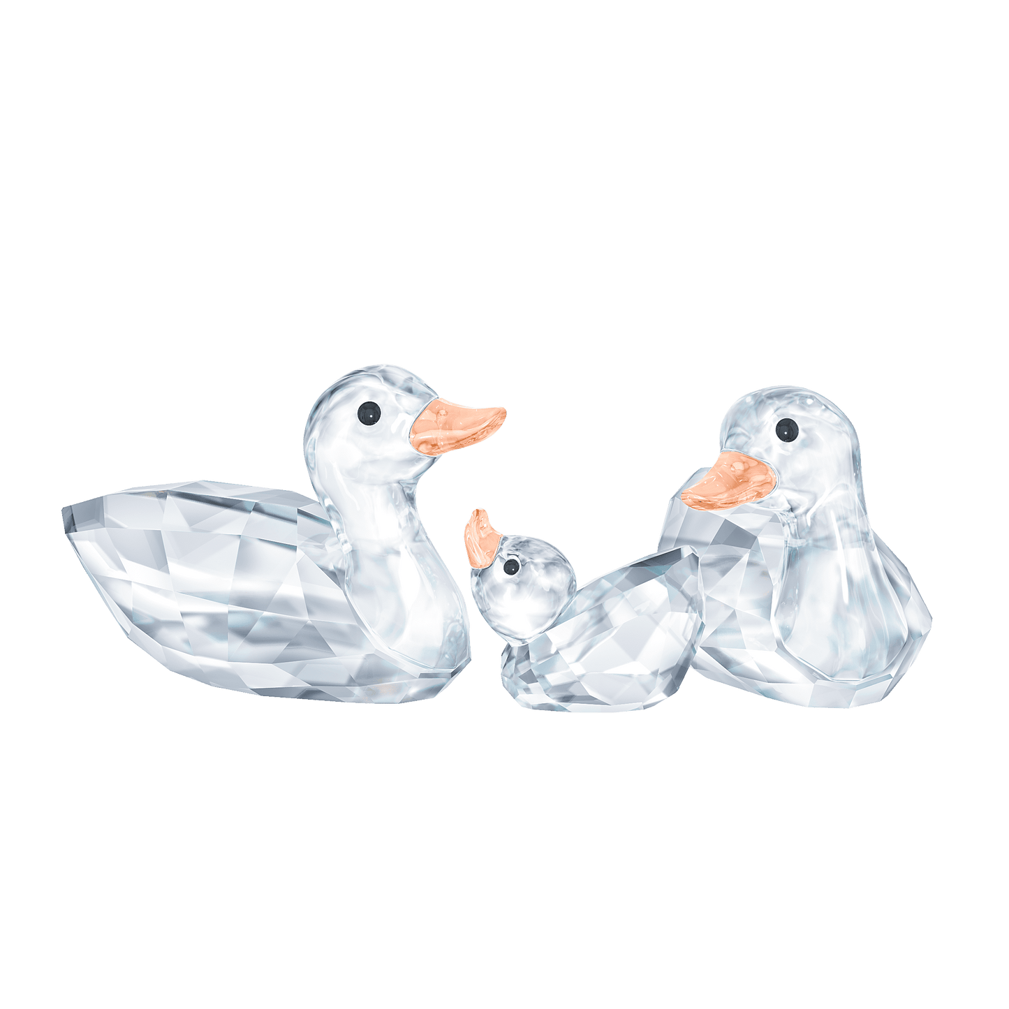 Ducks 5723846