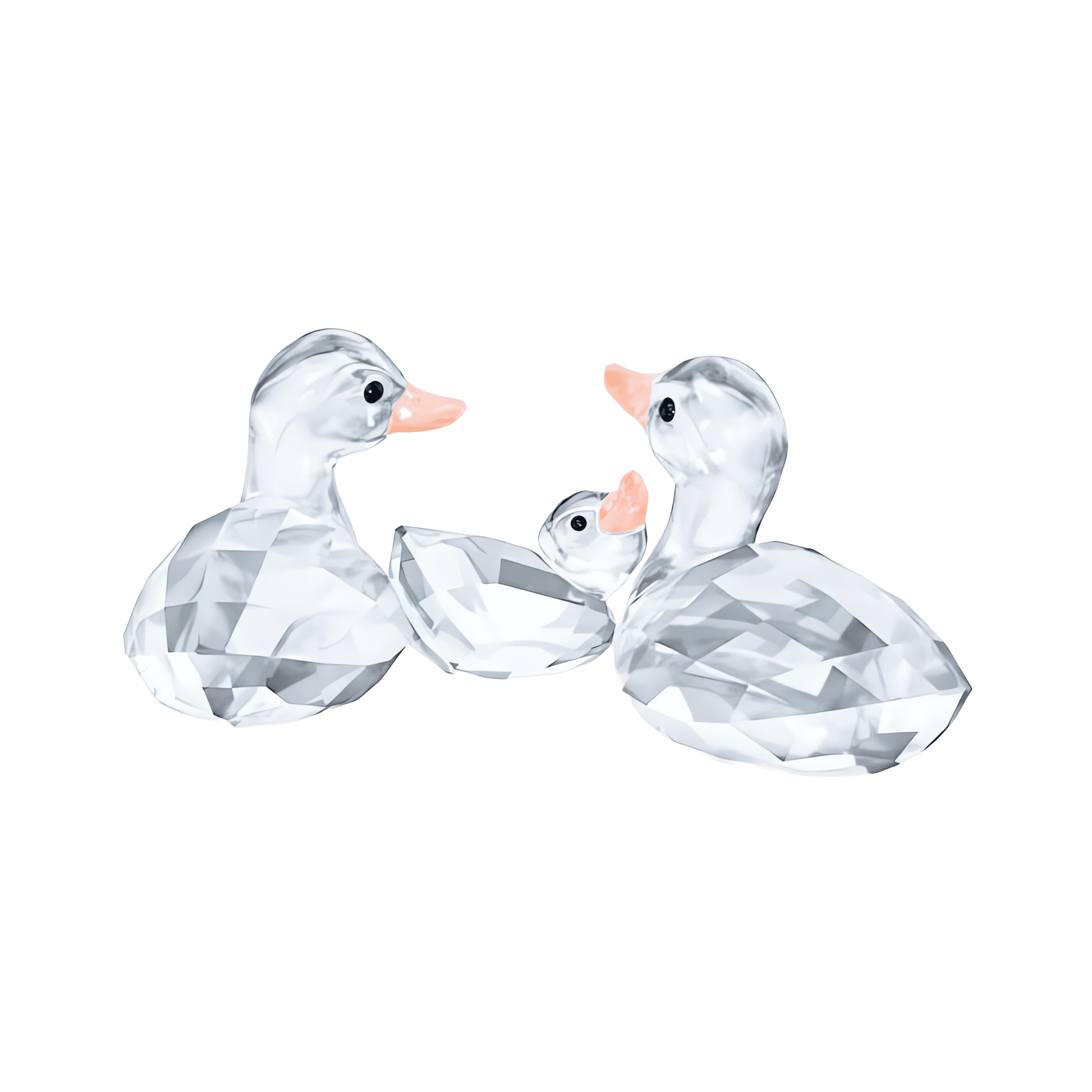 Ducks 5723846