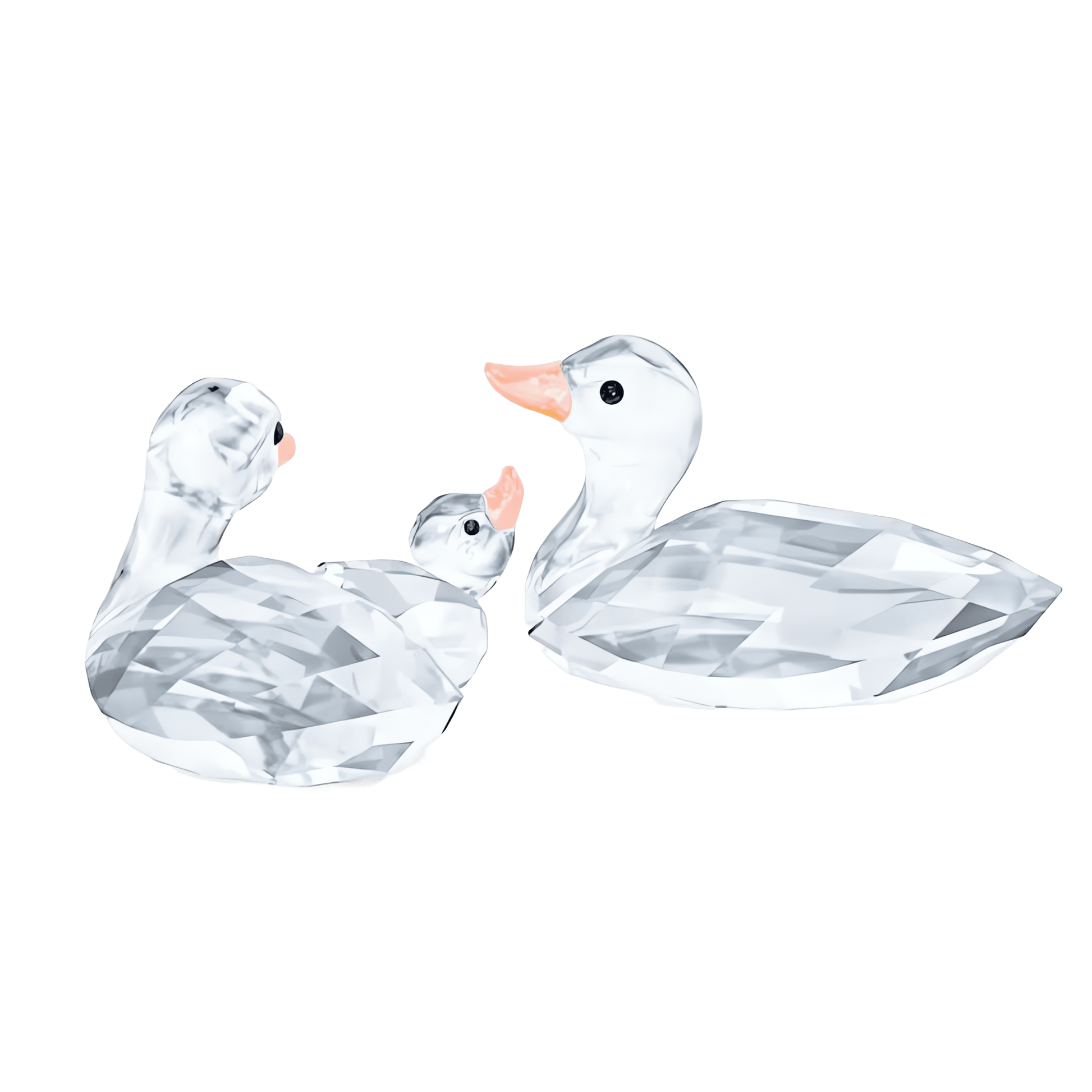 Ducks 5723846