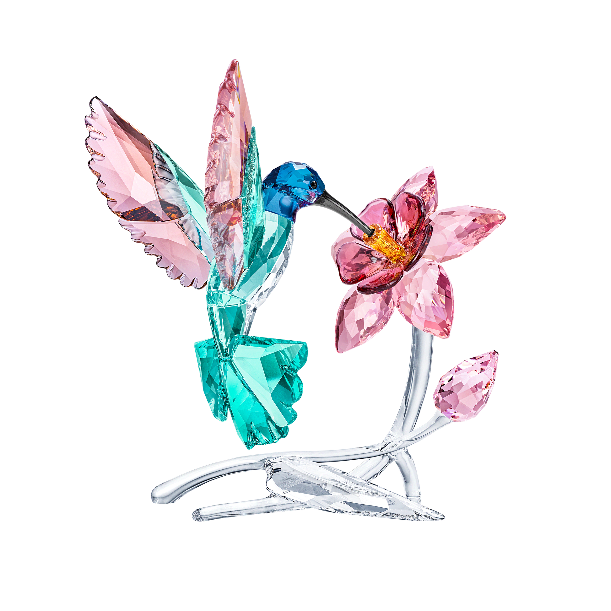 Hummingbird 5728071