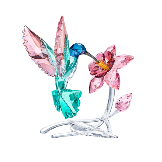 Hummingbird 5728071