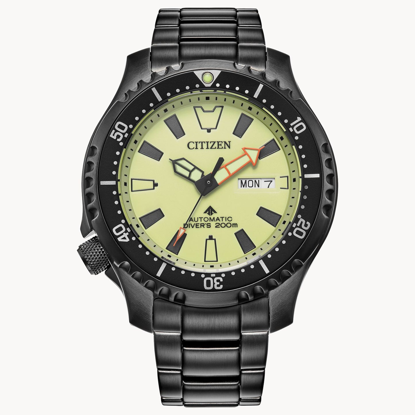 Promaster Dive Automatic NY0155-58X