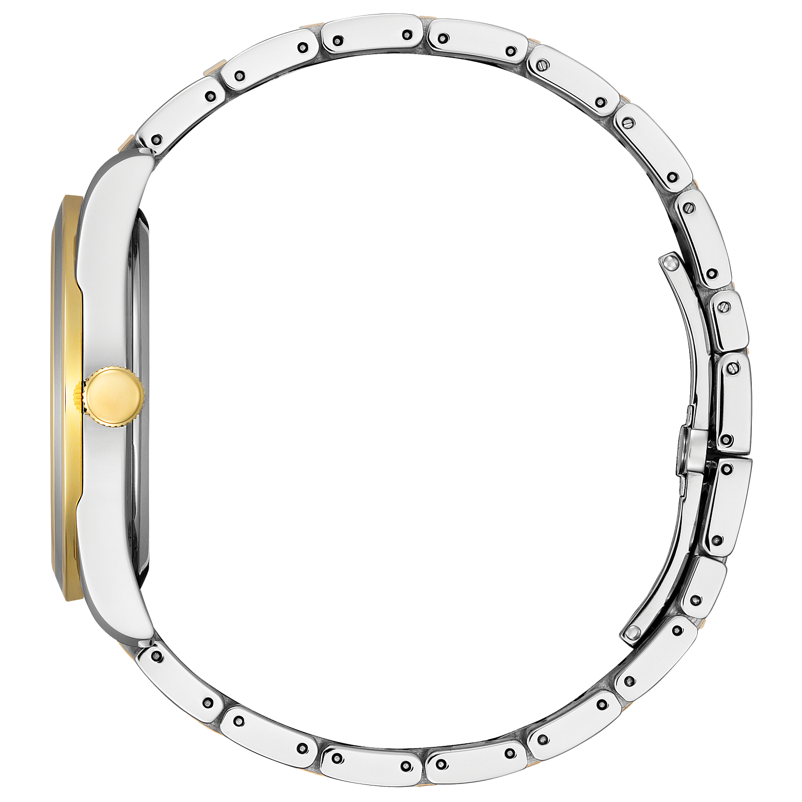 Citizen Arezzo AW1694-50A