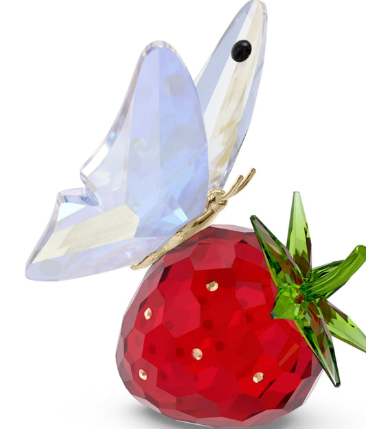 Idyllia Butterfly and Strawberry