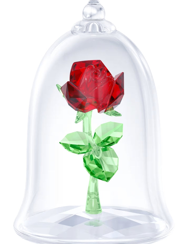 Enchanted Rose