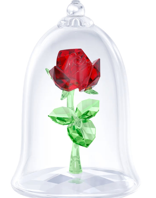 Enchanted Rose