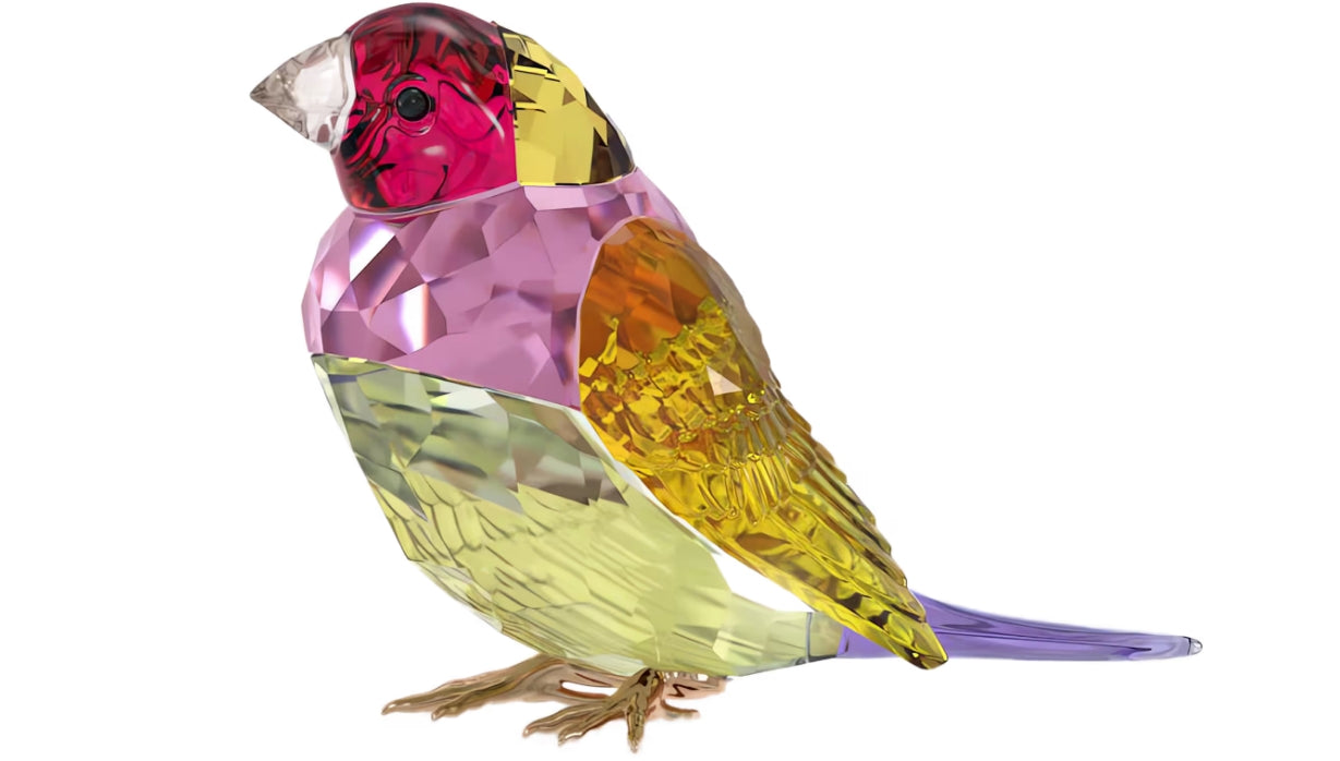 Idyllia SCS Gouldian Finch Large