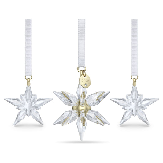 Annual Edition 3D Ornament Set 2025 | 5701628