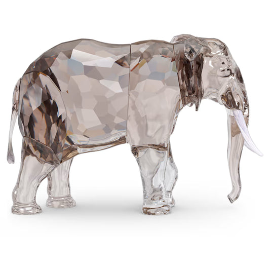 Elegance of Africa SCS Elephant Baby Mandisa 5608544