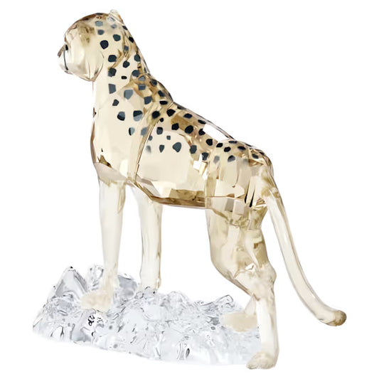 Elegance of Africa SCS Cheetah Baby Jabari 5636484