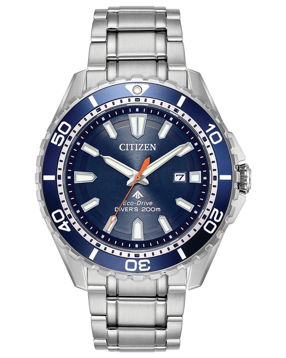 Promaster Diver BN0191-55L