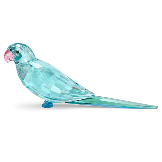 Swarovski Jungle Beats Parakeet Paco Blue One Size 5574519