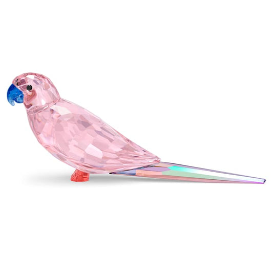 Swarovski Jungle Beats Parakeet Cha Cha Pink One Size 5557848